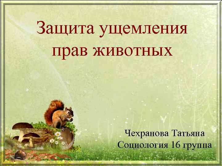 Защита ущемления прав животных Чехранова Татьяна Социология 16 группа 