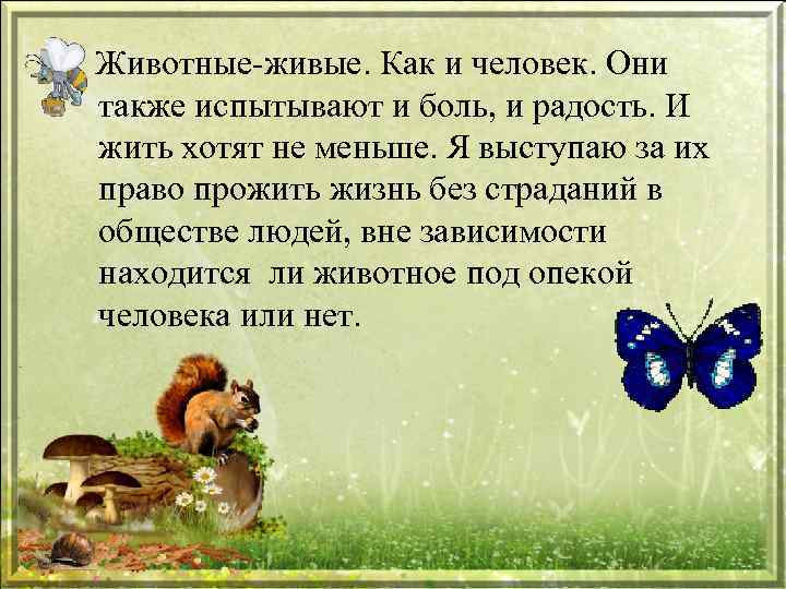 Животные-живые. Как и человек. Они также испытывают и боль, и радость. И жить хотят