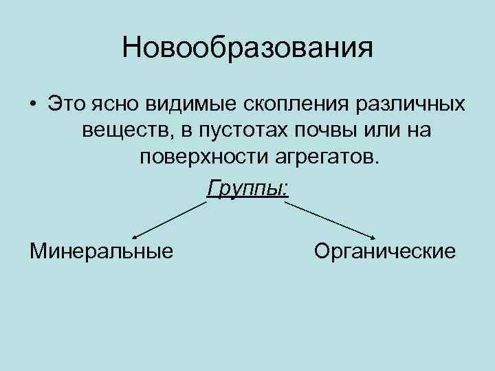 Новообразования • Это ясно видимые скопления различных веществ, в пустотах почвы или на поверхности
