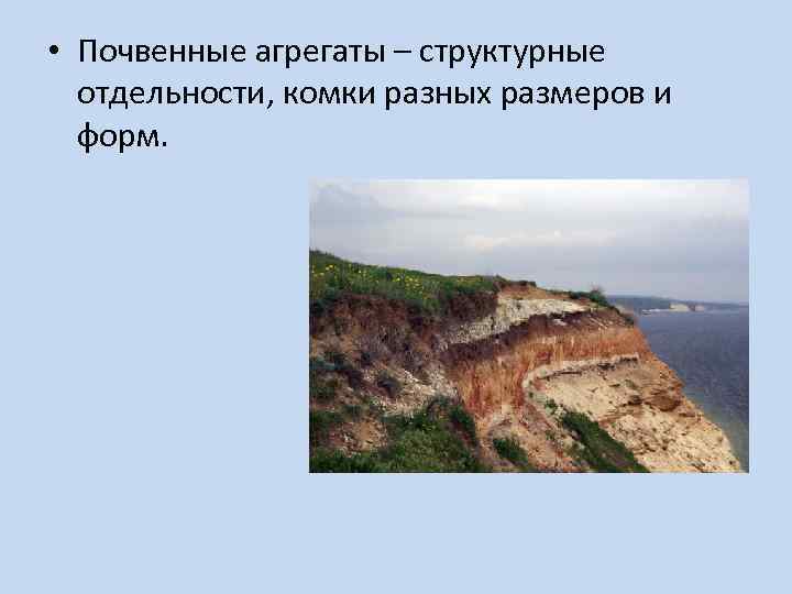  • Почвенные агрегаты – структурные отдельности, комки разных размеров и форм. 