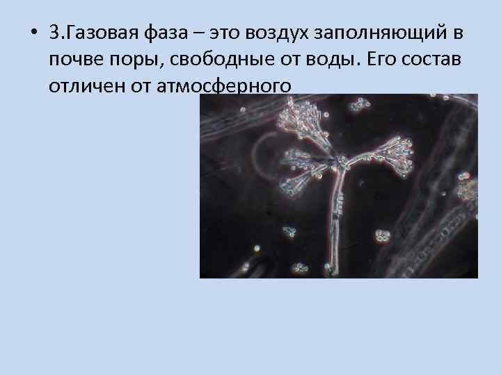 • 3. Газовая фаза – это воздух заполняющий в почве поры, свободные от