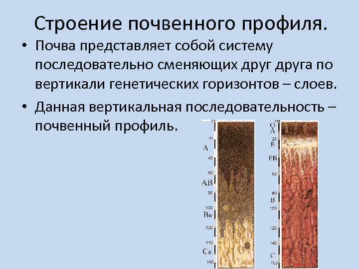 Какова общая схема описания почвенного профиля