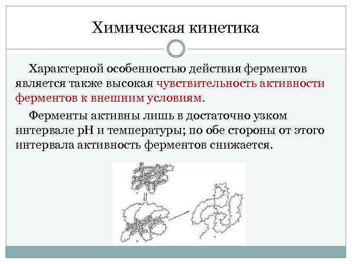 Химическая кинетика Характерной особенностью действия ферментов является также высокая чувствительность активности ферментов к внешним