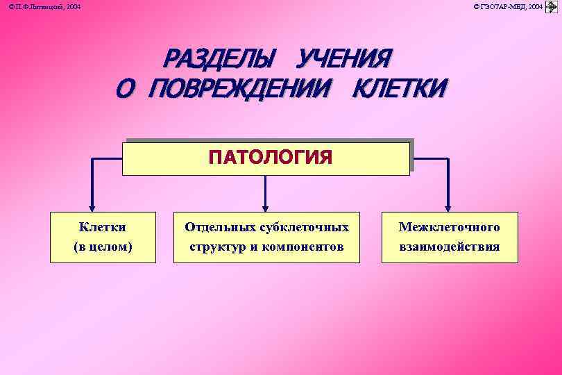 © П. Ф. Литвицкий, 2004 © ГЭОТАР-МЕД, 2004 РАЗДЕЛЫ УЧЕНИЯ О ПОВРЕЖДЕНИИ КЛЕТКИ ПАТОЛОГИЯ