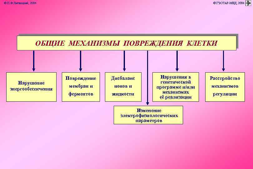 © П. Ф. Литвицкий, 2004 © ГЭОТАР-МЕД, 2004 ОБЩИЕ МЕХАНИЗМЫ ПОВРЕЖДЕНИЯ КЛЕТКИ Нарушение энергообеспечения