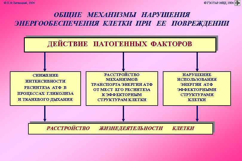 © П. Ф. Литвицкий, 2004 © ГЭОТАР-МЕД, 2004 ОБЩИЕ МЕХАНИЗМЫ НАРУШЕНИЯ ЭНЕРГООБЕСПЕЧЕНИЯ КЛЕТКИ ПРИ