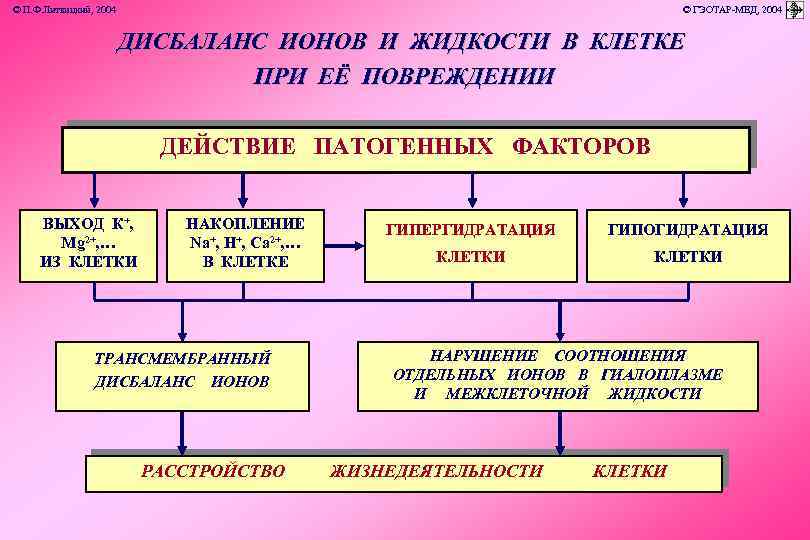 © П. Ф. Литвицкий, 2004 © ГЭОТАР-МЕД, 2004 ДИСБАЛАНС ИОНОВ И ЖИДКОСТИ В КЛЕТКЕ