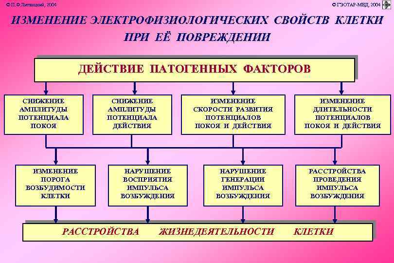 © П. Ф. Литвицкий, 2004 © ГЭОТАР-МЕД, 2004 ИЗМЕНЕНИЕ ЭЛЕКТРОФИЗИОЛОГИЧЕСКИХ СВОЙСТВ КЛЕТКИ ПРИ ЕЁ