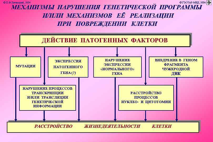 © П. Ф. Литвицкий, 2004 © ГЭОТАР-МЕД, 2004 МЕХАНИЗМЫ НАРУШЕНИЯ ГЕНЕТИЧЕСКОЙ ПРОГРАММЫ И/ИЛИ МЕХАНИЗМОВ