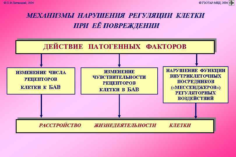 © П. Ф. Литвицкий, 2004 © ГЭОТАР-МЕД, 2004 МЕХАНИЗМЫ НАРУШЕНИЯ РЕГУЛЯЦИИ КЛЕТКИ ПРИ ЕЁ