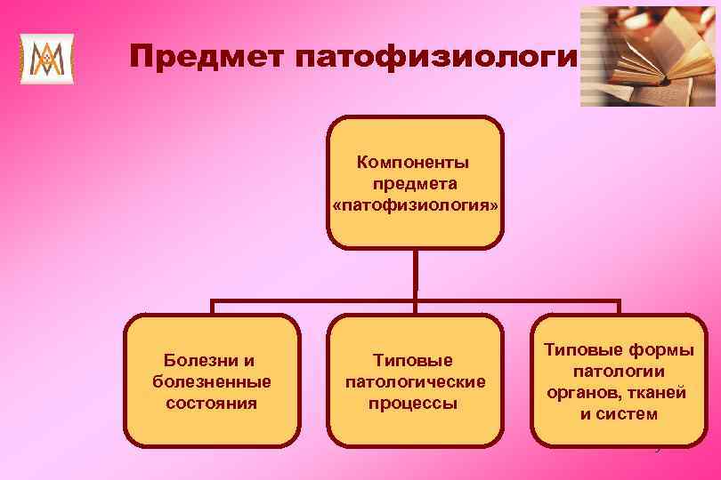 Компоненты предметов. Типовой патологический процесс и типовая форма патологии. Предмет изучения патологии. Предмет патофизиологии. Типовые формы патологии патофизиология.