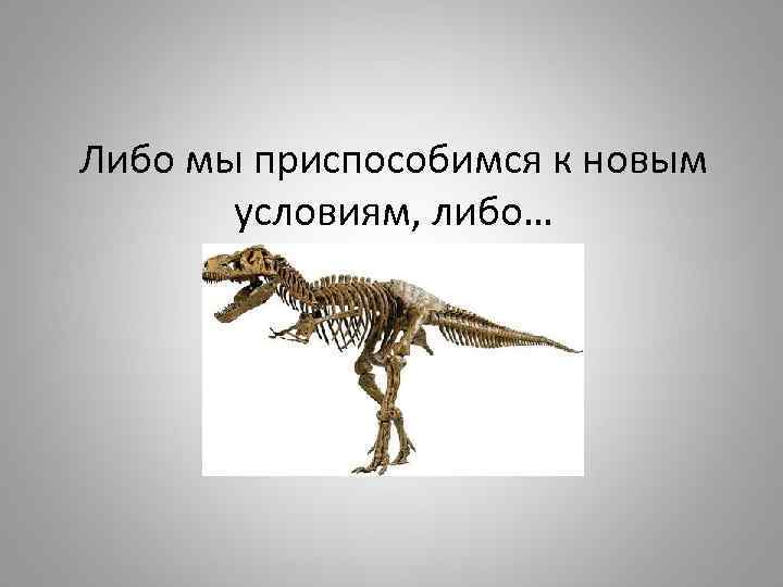 Либо мы приспособимся к новым условиям, либо… 