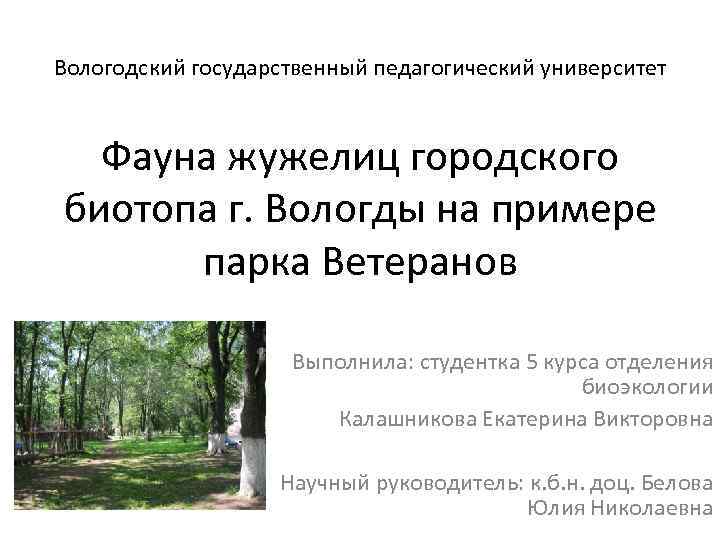 Вологодский государственный педагогический университет Фауна жужелиц городского биотопа г. Вологды на примере парка Ветеранов