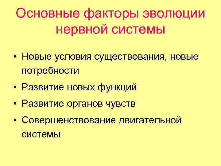 Основные факторы эволюции нервной системы • Новые условия существования, новые потребности • Развитие новых