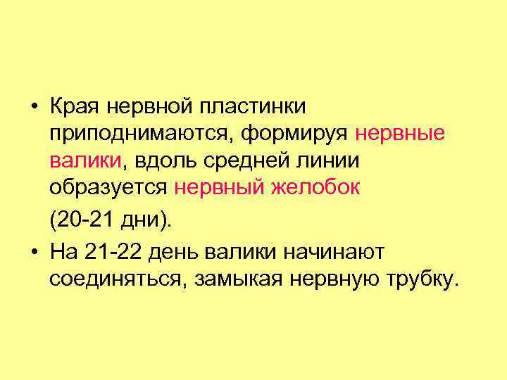  • Края нервной пластинки приподнимаются, формируя нервные валики, вдоль средней линии образуется нервный