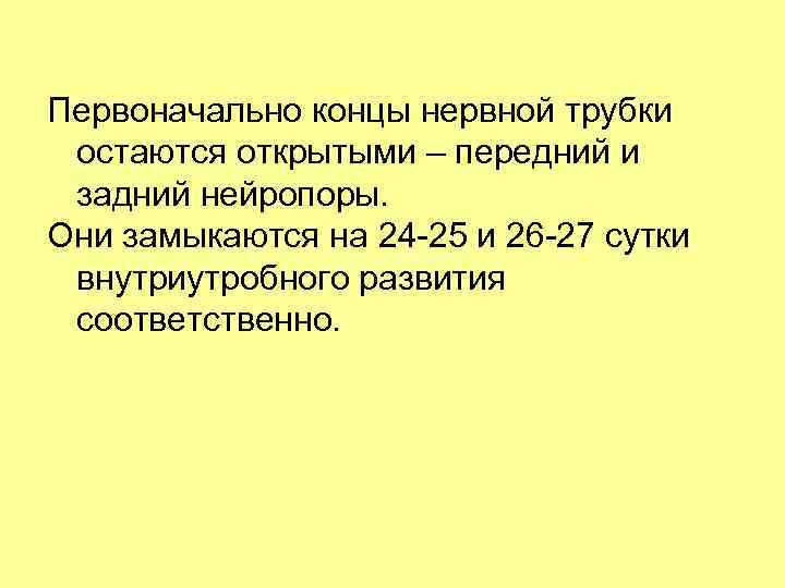 Первоначально концы нервной трубки остаются открытыми – передний и задний нейропоры. Они замыкаются на