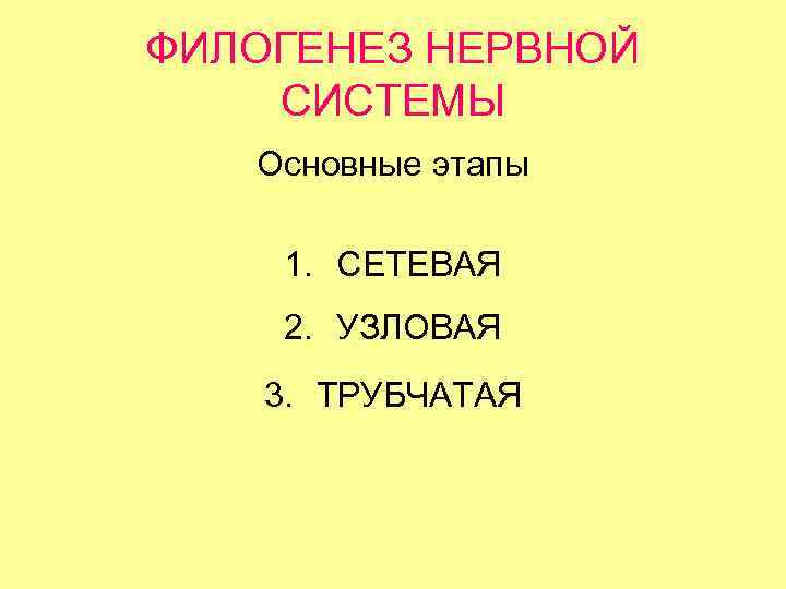 ФИЛОГЕНЕЗ НЕРВНОЙ СИСТЕМЫ Основные этапы 1. СЕТЕВАЯ 2. УЗЛОВАЯ 3. ТРУБЧАТАЯ 