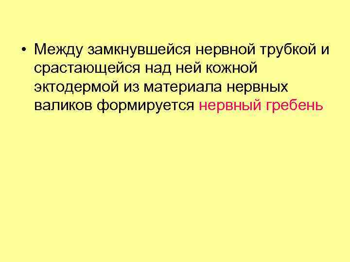  • Между замкнувшейся нервной трубкой и срастающейся над ней кожной эктодермой из материала