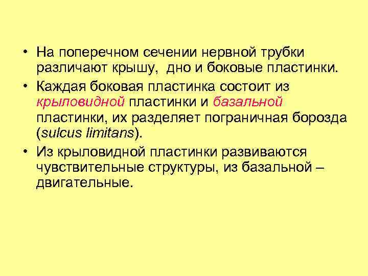  • На поперечном сечении нервной трубки различают крышу, дно и боковые пластинки. •