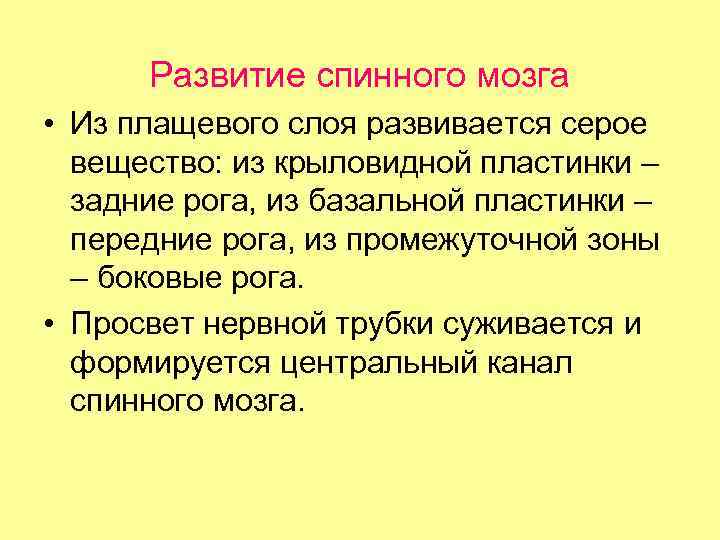 Развитие спинного мозга • Из плащевого слоя развивается серое вещество: из крыловидной пластинки –