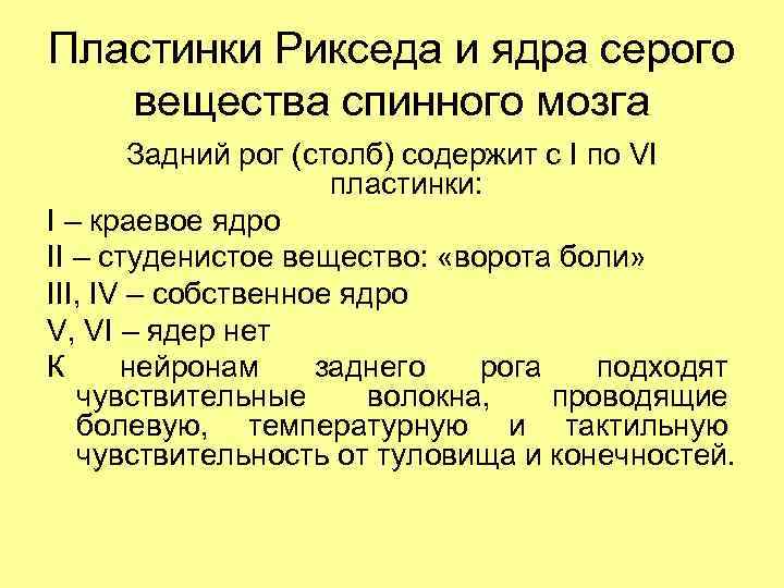 Пластинки Рикседа и ядра серого вещества спинного мозга Задний рог (столб) содержит с I