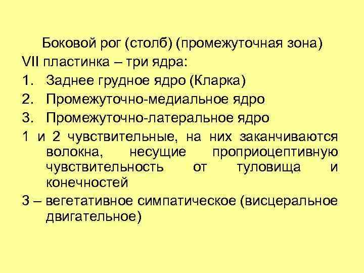 Боковой рог (столб) (промежуточная зона) VII пластинка – три ядра: 1. Заднее грудное ядро