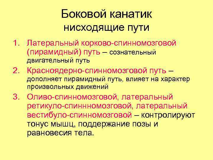 Боковой канатик нисходящие пути 1. Латеральный корково-спинномозговой (пирамидный) путь – сознательный двигательный путь 2.