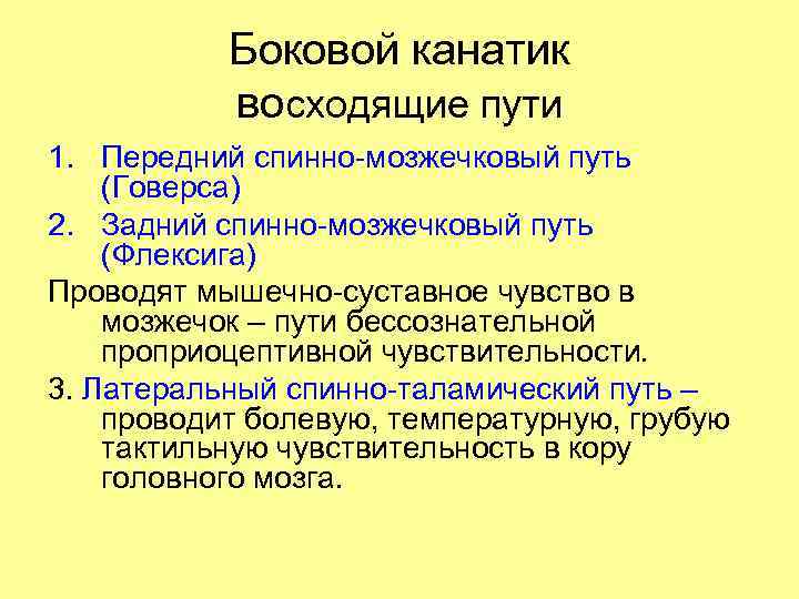 Боковой канатик восходящие пути 1. Передний спинно-мозжечковый путь (Говерса) 2. Задний спинно-мозжечковый путь (Флексига)