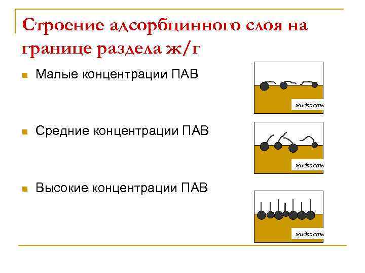 Строение адсорбцинного слоя на границе раздела ж/г n Малые концентрации ПАВ жидкость n Средние
