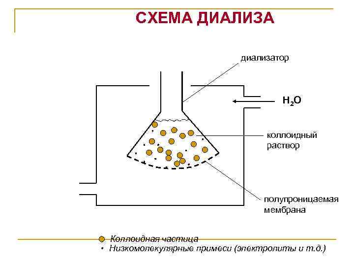 Диализ схема проведения