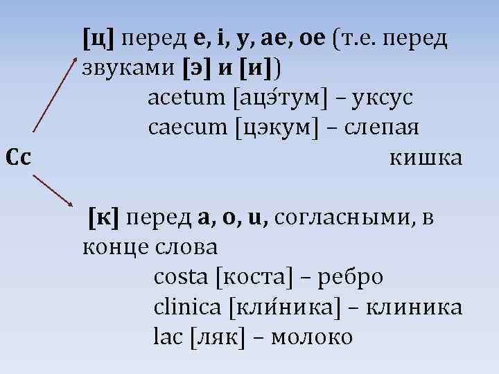Сс [ц] перед e, i, y, ae, oe (т. е. перед звуками [э] и