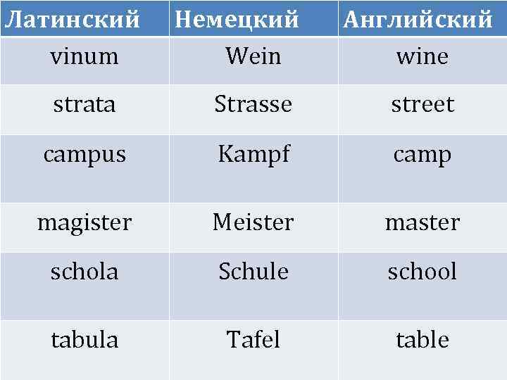 Латинский vinum Немецкий Wein Английский wine strata Strasse street campus Kampf camp magister Meister