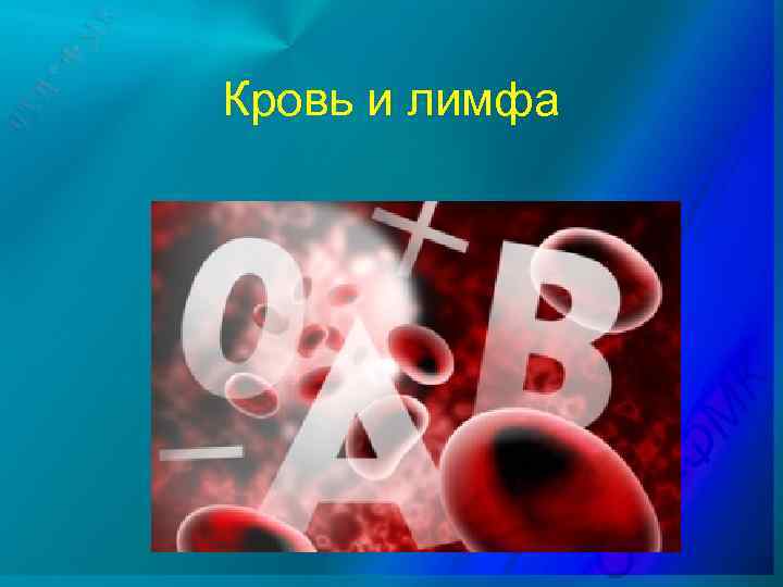 Кровь и лимфа 