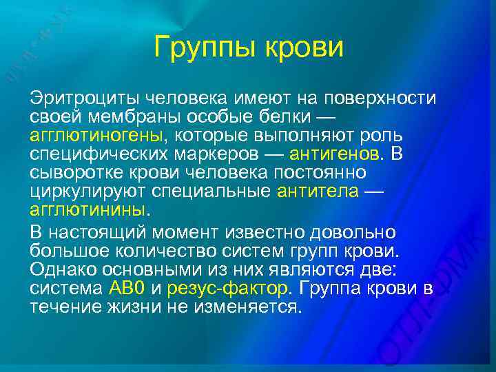Группы крови Эритроциты человека имеют на поверхности своей мембраны особые белки — агглютиногены, которые