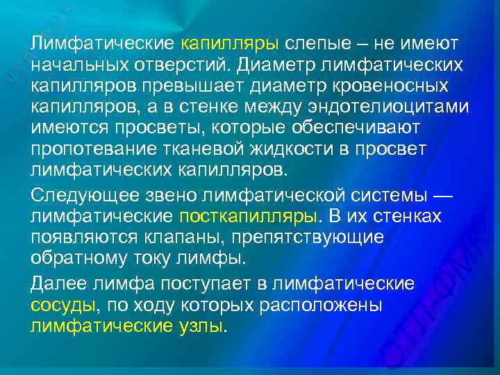 Лимфатические капилляры слепые – не имеют начальных отверстий. Диаметр лимфатических капилляров превышает диаметр кровеносных