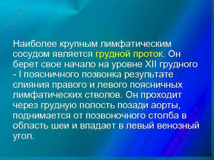 Наиболее крупным лимфатическим сосудом является грудной проток. Он берет свое начало на уровне XII