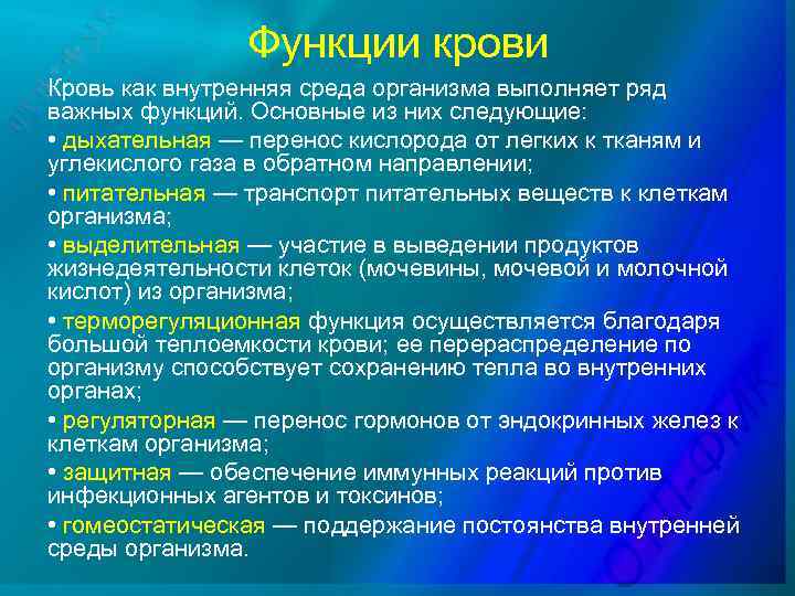Функции крови Кровь как внутренняя среда организма выполняет ряд важных функций. Основные из них