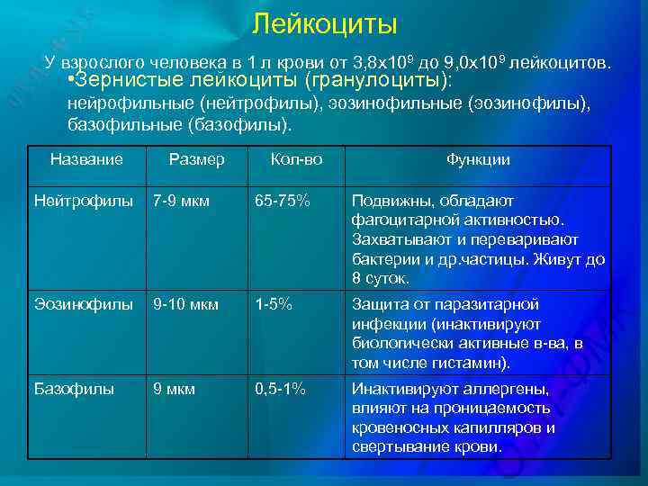 Лейкоциты У взрослого человека в 1 л крови от 3, 8 х109 до 9,