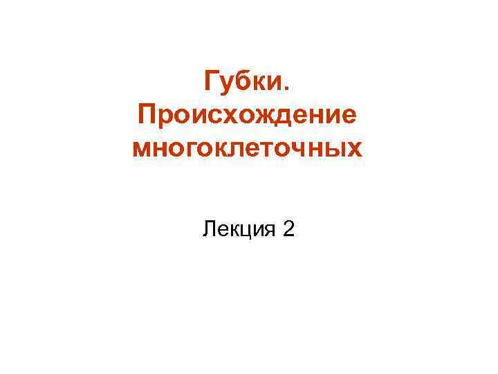 Губки. Происхождение многоклеточных Лекция 2 