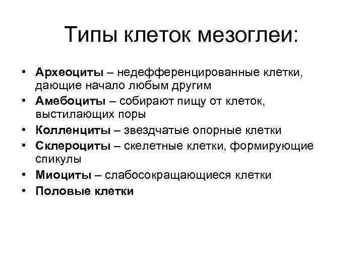 Типы клеток мезоглеи: • Археоциты – недефференцированные клетки, дающие начало любым другим • Амебоциты