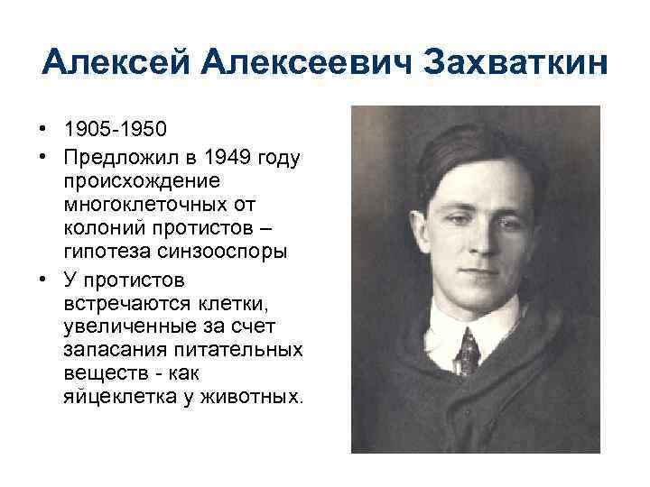 Алексей Алексеевич Захваткин • 1905 -1950 • Предложил в 1949 году происхождение многоклеточных от