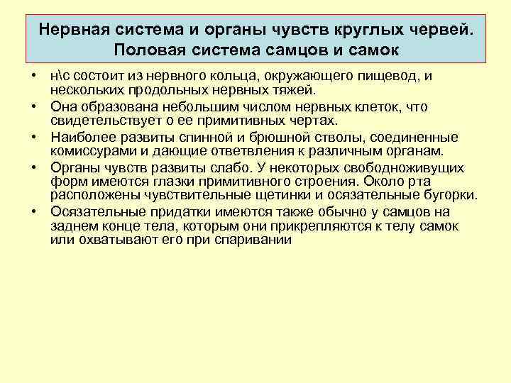 Неpвная система и оpганы чувств круглых червей. Половая система самцов и самок • нс