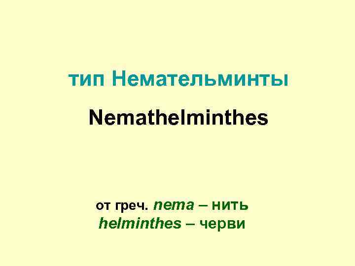 тип Немательминты Nemathelminthes от греч. nema – нить helminthes – черви 