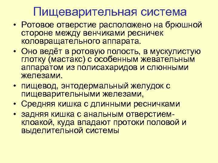 Пищеварительная система • Ротовое отверстие расположено на брюшной стороне между венчиками ресничек коловращательного аппарата.