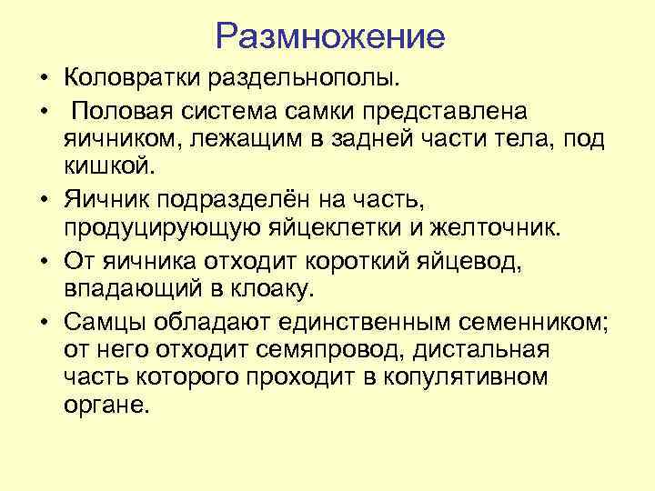 Размножение • Коловратки раздельнополы. • Половая система самки представлена яичником, лежащим в задней части