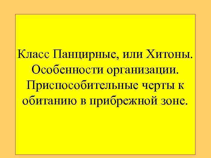 Класс Панцирные, или Хитоны. Особенности организации. Пpиспособительные чеpты к обитанию в пpибpежной зоне. 