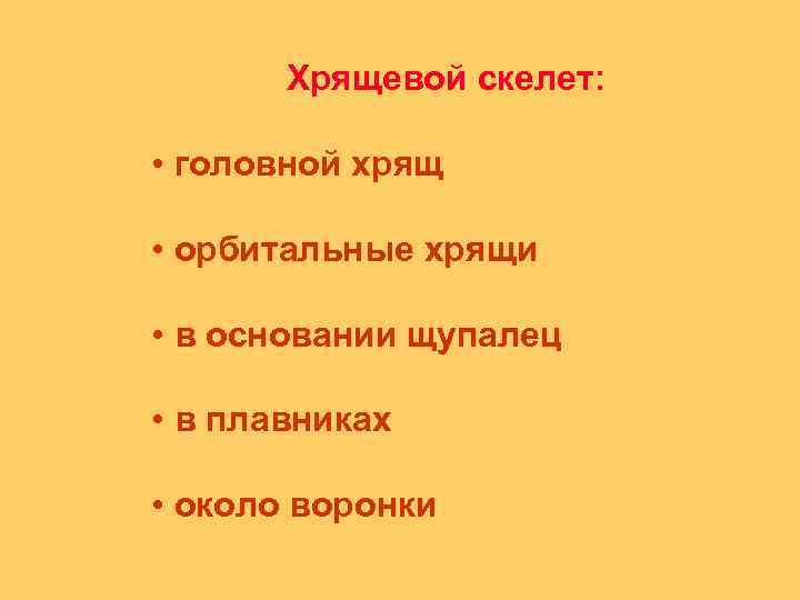 Хрящевой скелет: • головной хрящ • орбитальные хрящи • в основании щупалец • в