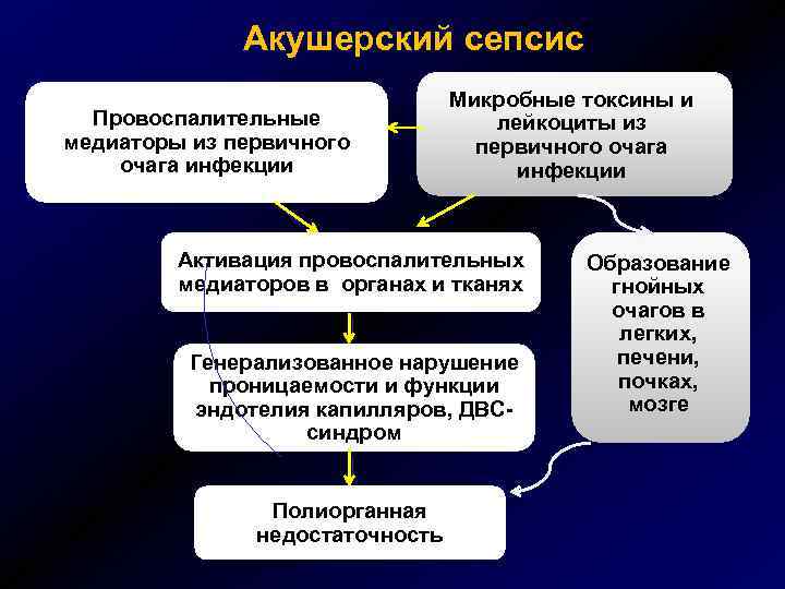 Акушерский сепсис Провоспалительные медиаторы из первичного очага инфекции Микробные токсины и лейкоциты из первичного