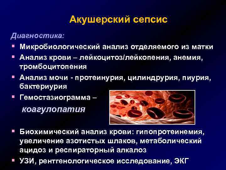 Акушерский сепсис Диагностика: § Микробиологический анализ отделяемого из матки § Анализ крови – лейкоцитоз/лейкопения,