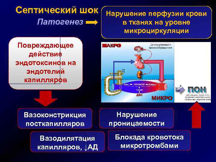 Септический шок Патогенез Нарушение перфузии крови в тканях на уровне микроциркуляции Повреждающее действие эндотоксинов